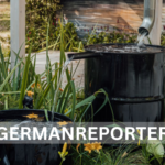 Regenwasser auffangen Ideen – Nachhaltige Lösungen für Haus und Garten