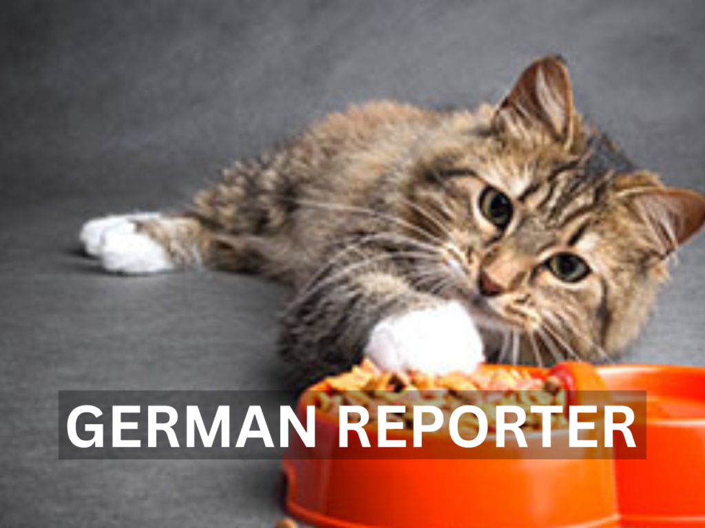Hochwertiges Katzenfutter – Warum es für die Gesundheit deiner Katze entscheidend ist (1)