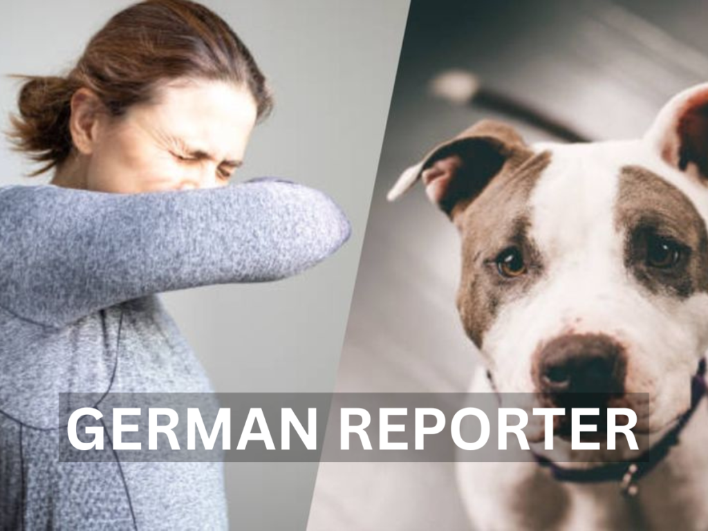 Allergiker Hunde Wenn Tierliebe und Gesundheit zusammenpassen