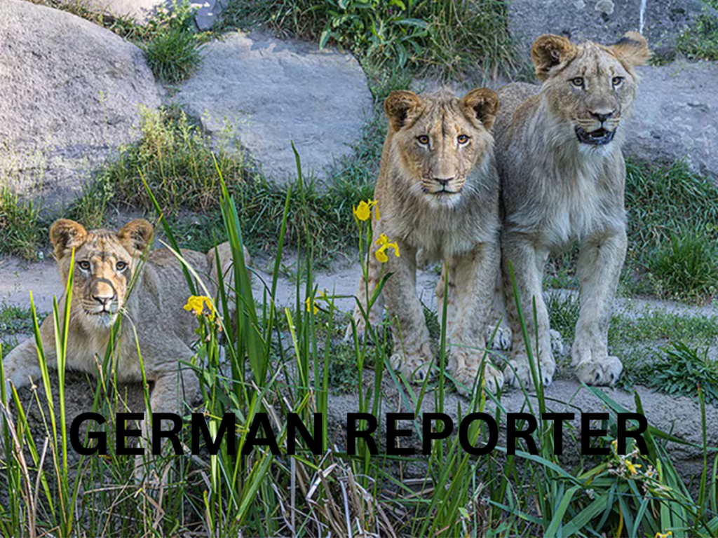 Beerdigung Zoo Leipzig Ein emotionaler Abschied im Herzen der Stadt